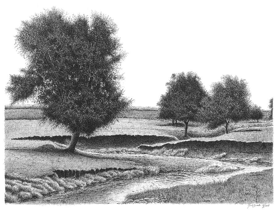 Trees in Pasture Drawing by Joel Lueck