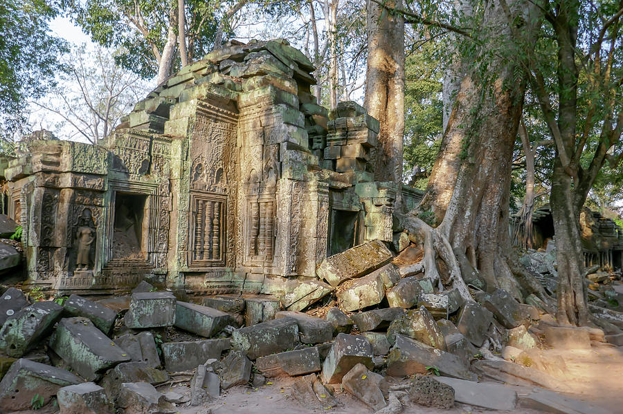 Trees in ruins of Ta Prohm, Siem Reap, Cambodia Photograph by Karen Foley