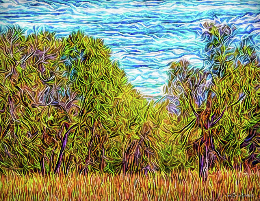 Trees In The Field Digital Art by Joel Bruce Wallach
