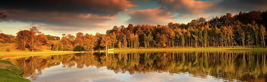 Trees Lining The Waters Edge Reflected Photograph by John Short / Design Pics