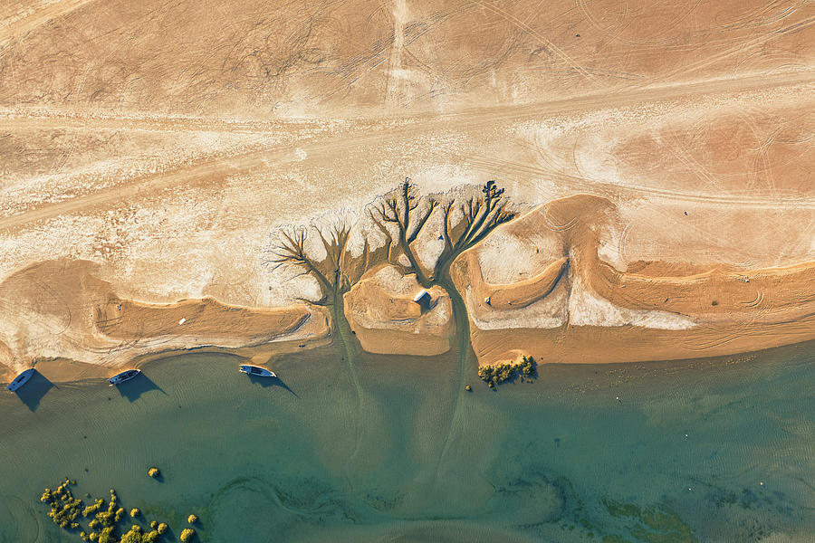 Landscape Photograph - Trees Of Life by Haitham Al Farsi