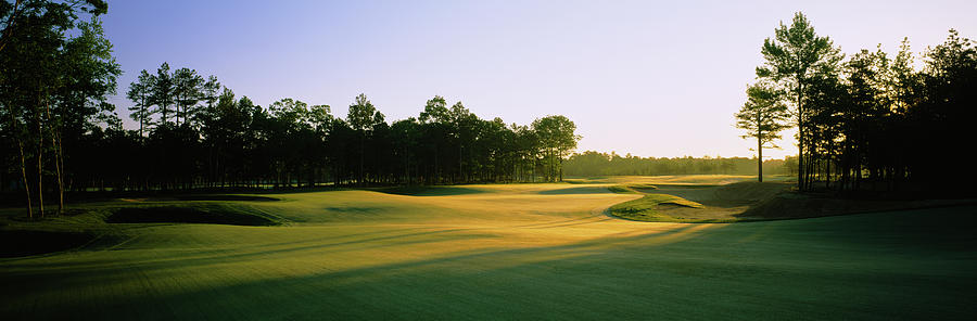 Trees On A Golf Course, Sand Barrens Photograph by Panoramic Images