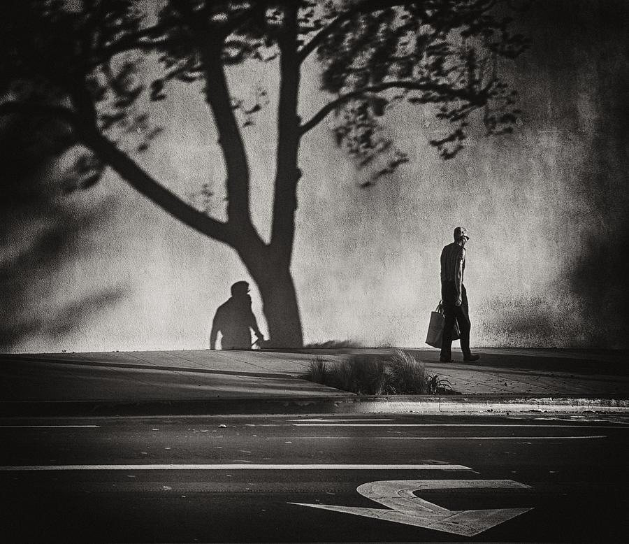 Trees, Shadows And Signs On Montana Avenue Photograph by Roxana Labagnara