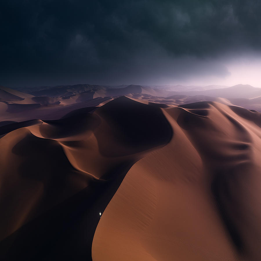 Trek In The Desert Photograph by Bingo Z