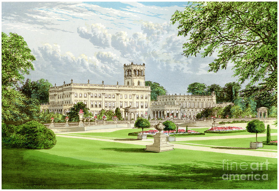 Architecture Drawing - Trentham Hall, Staffordshire, Home by Print Collector