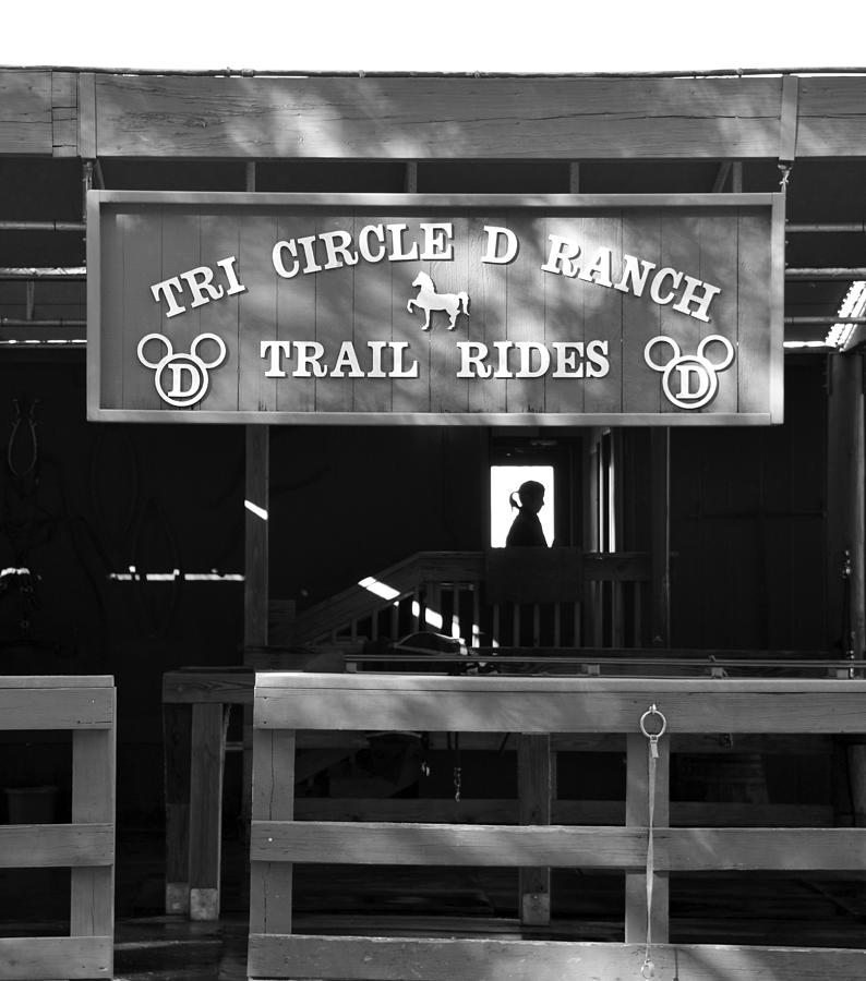 Tri circle D ranch work A Photograph by David Lee Thompson
