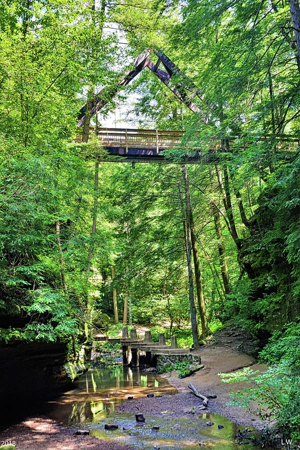 Triangle Bridge At Hocking Hills State Park Vertical Photograph by Lisa Wooten