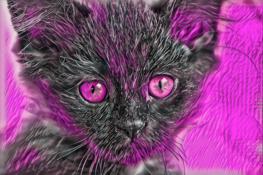 Triangle Face Kitten Pink Eyes Digital Art by Don Northup