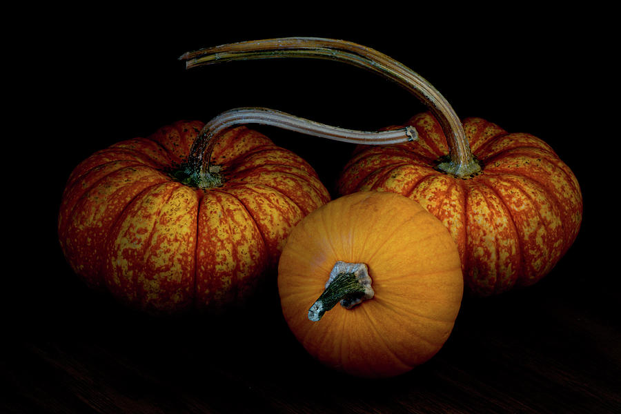 Triangulation, three pumpkins on black background still live by Alessandra RC Triangulation, three pumpkins on black background still live by Alessandra RC