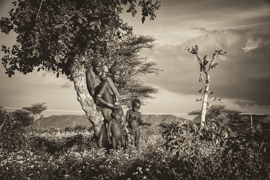 Tree Photograph - Tribes Family by Sohel Parvez Haque