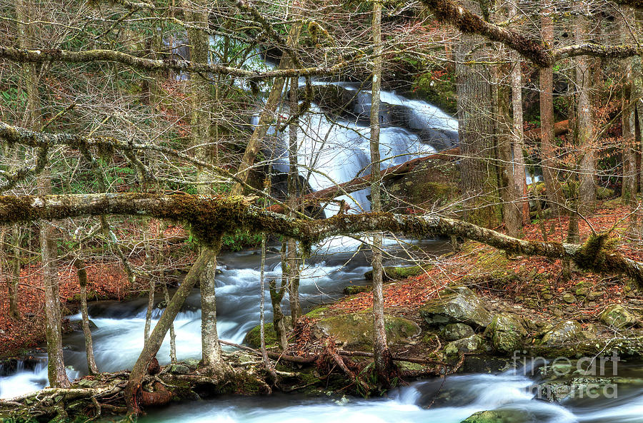 River Photograph - Tributary Stream by Mike Eingle