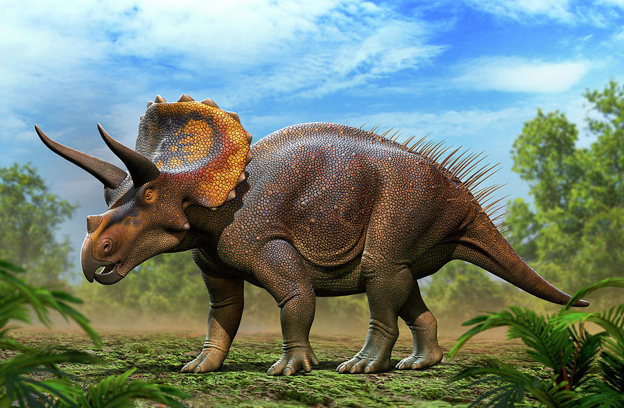 Triceratops Horridus Walking Photograph by Mohamad Haghani