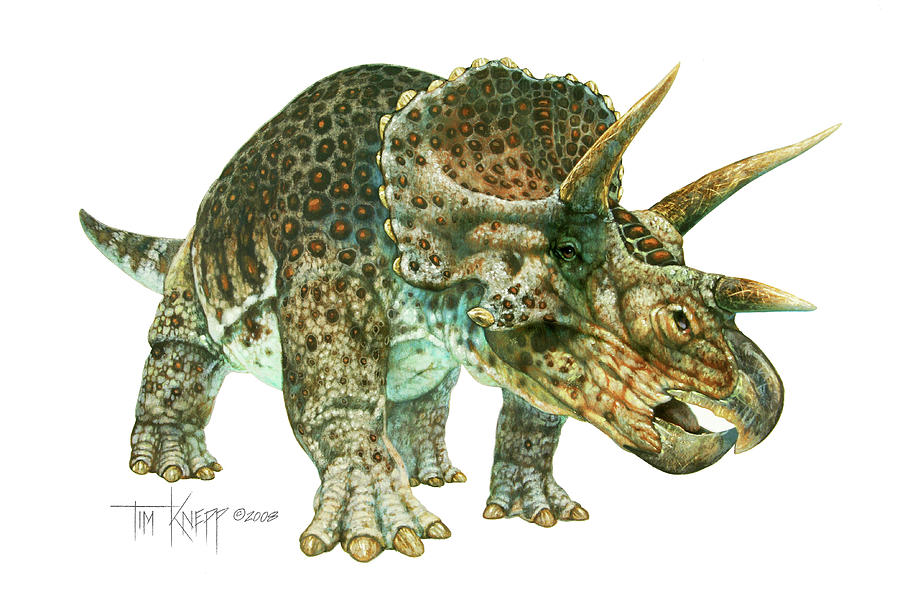Dinosaur Painting - Triceratops by Tim Knepp