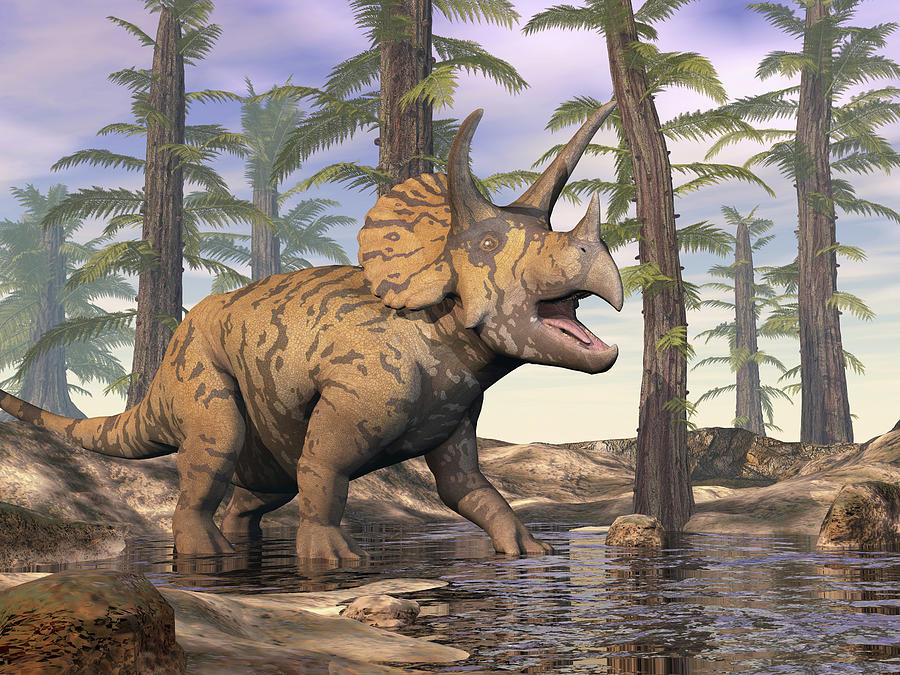 Triceratops Walking In A Pond Photograph by Elena Duvernay