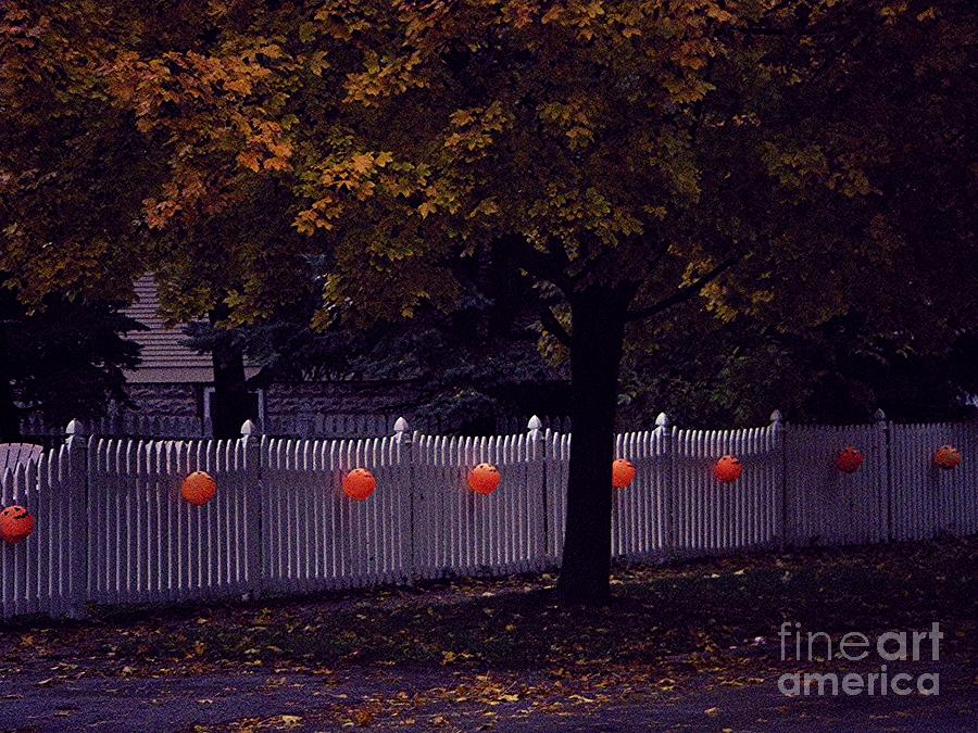 Trick Or Treat Trail Pumpkins White Picket Fence Autumn Tree Photograph