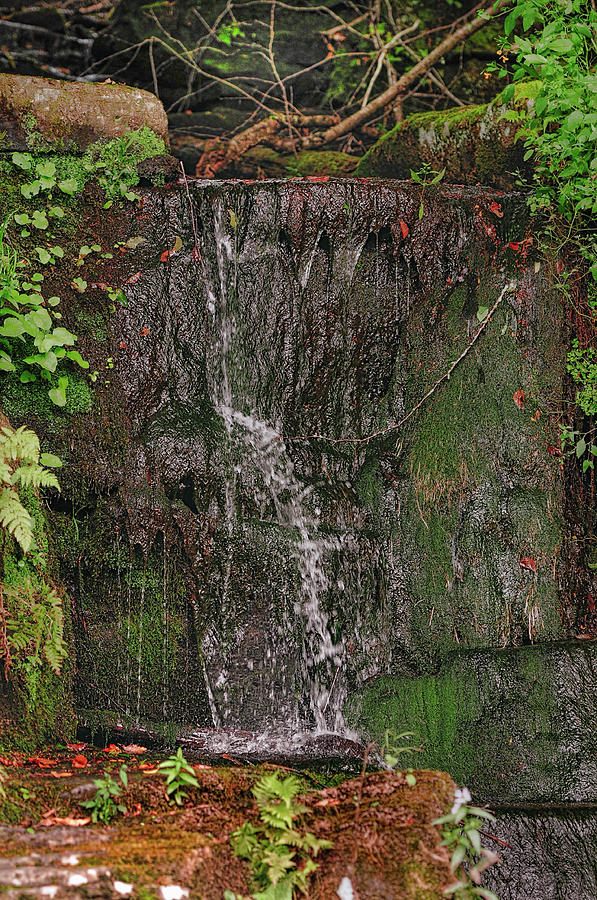 Trickling Waterfall Photograph by Cordia Murphy
