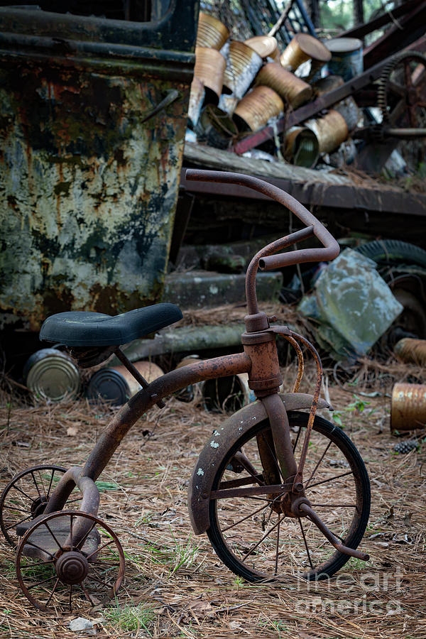 Tricycle Photograph by Doug Sturgess