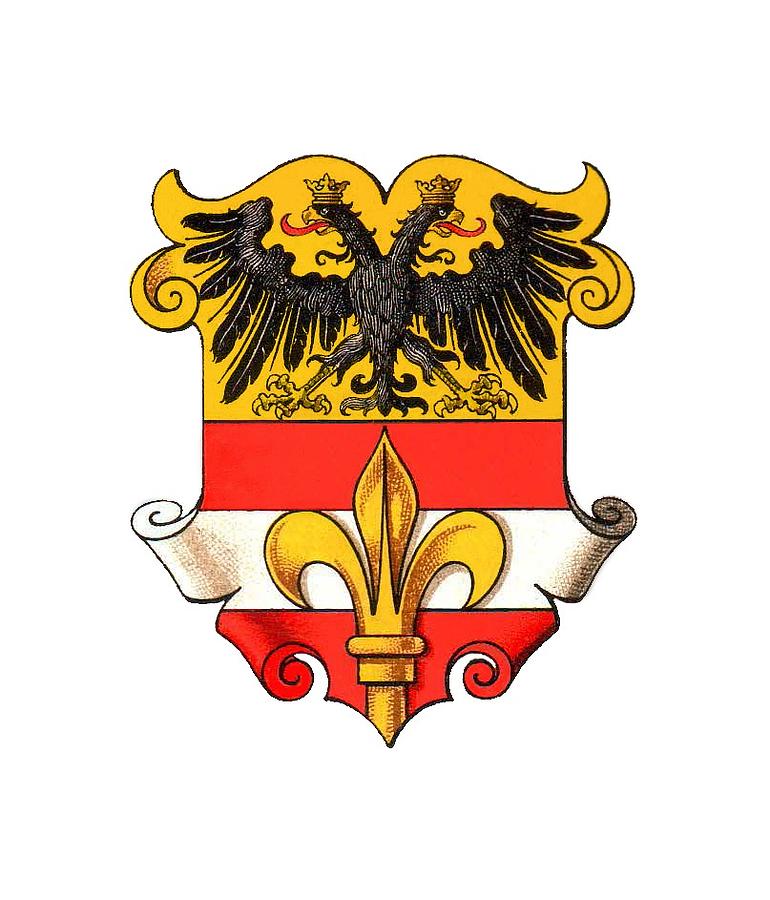 Triest coat of arms 1467-1919 Drawing by Helga Novelli