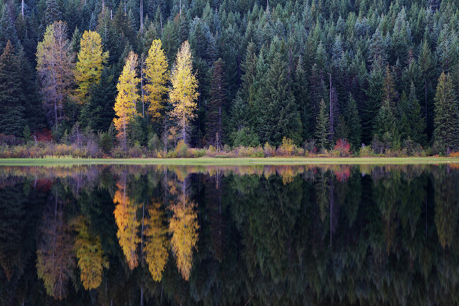 Trillium Lake Oregon by Davealan