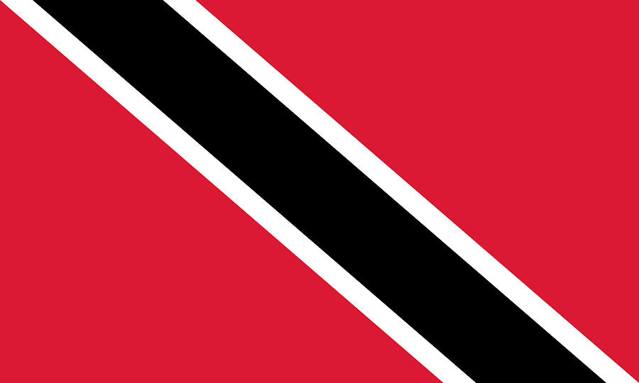 Trinidad and Tobago Painting by Flags
