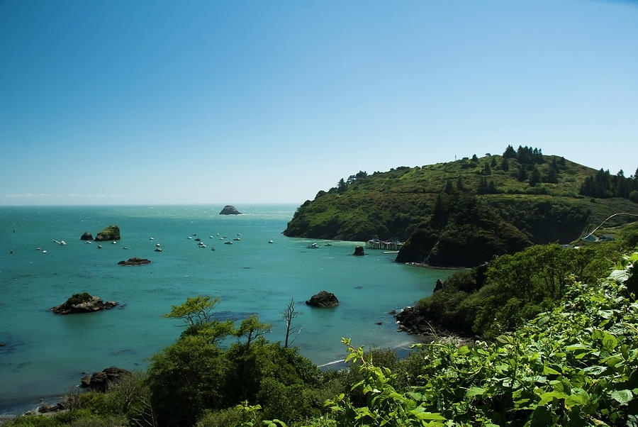 Trinidad Bay California by Yulia Kazansky Trinidad Bay California by Yulia Kazansky