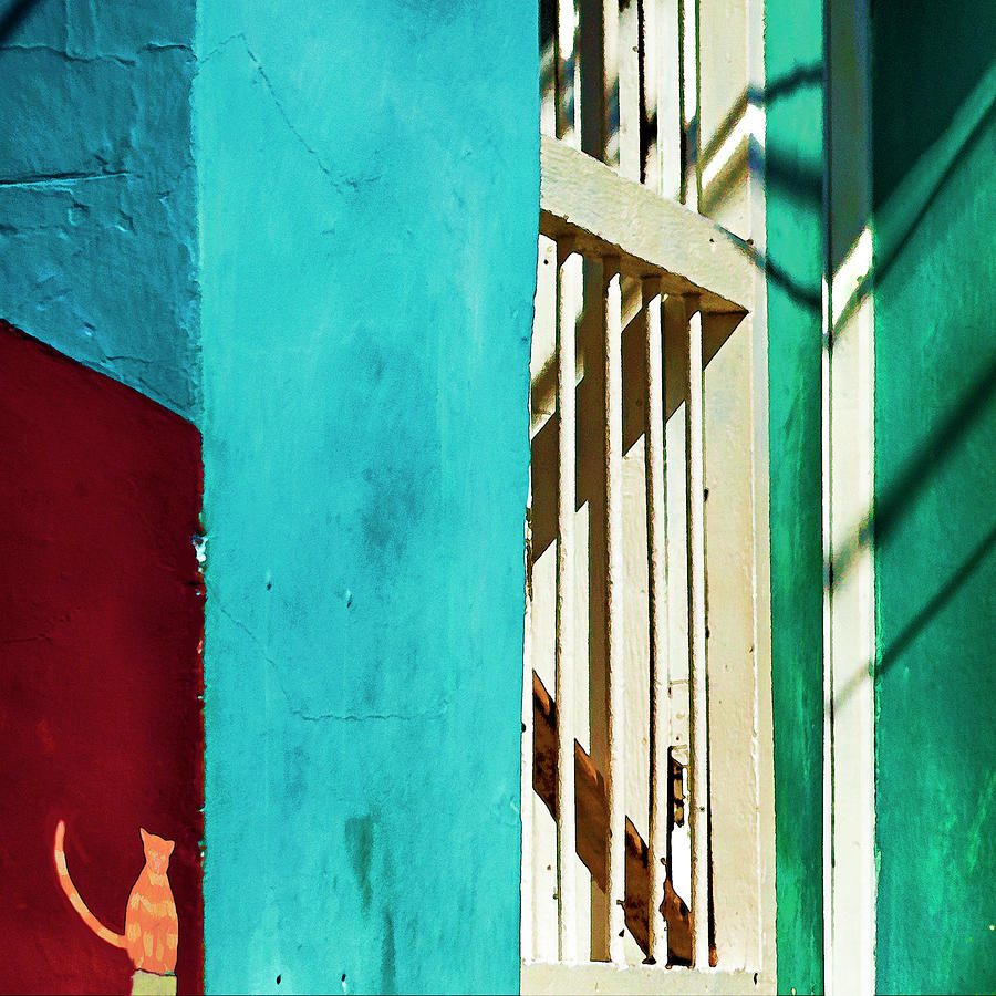 Trinidad Stairwell Photograph by Jessica Levant