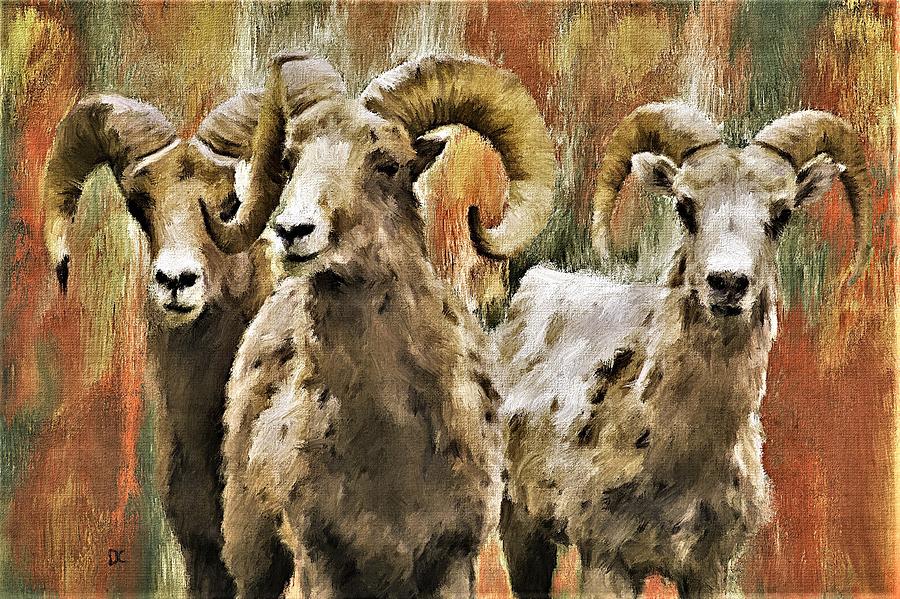 Sheep Digital Art - Trio by Diane Chandler