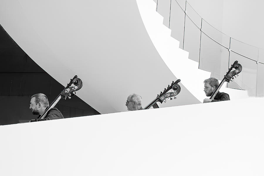 Trio Photograph by Michel Groleau