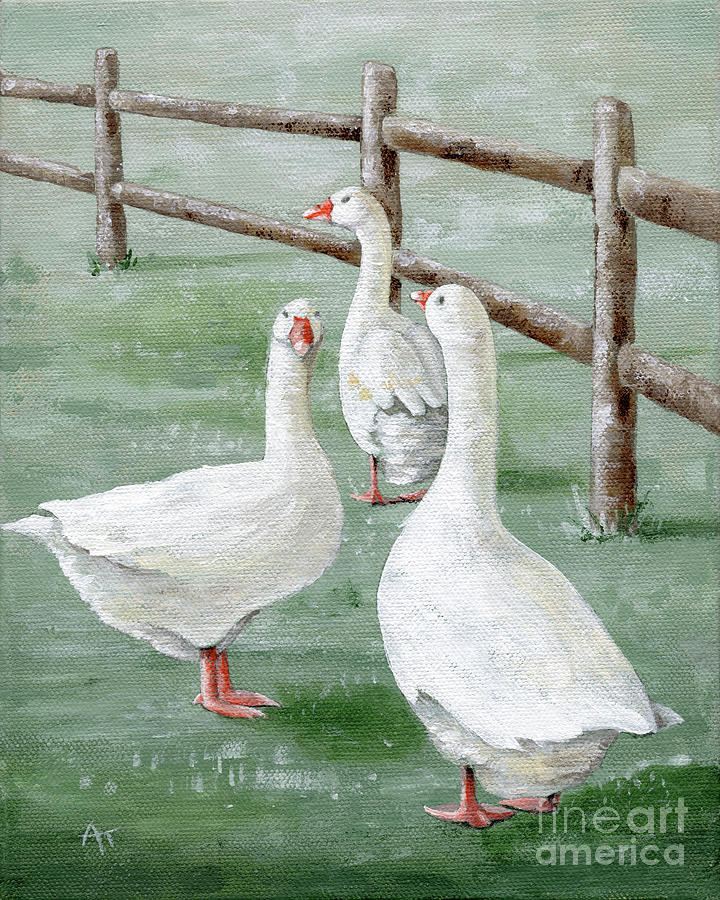 Trio of Trouble - Geese Painting by Annie Troe