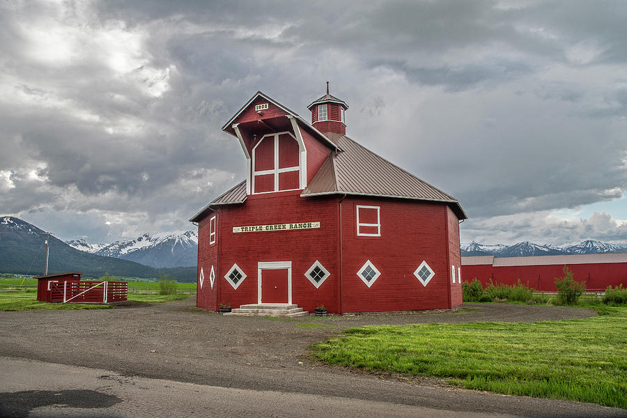 Triple Oak Ranch Octagonal Barn by Matthew Irvin Triple Oak Ranch Octagonal Barn by Matthew Irvin