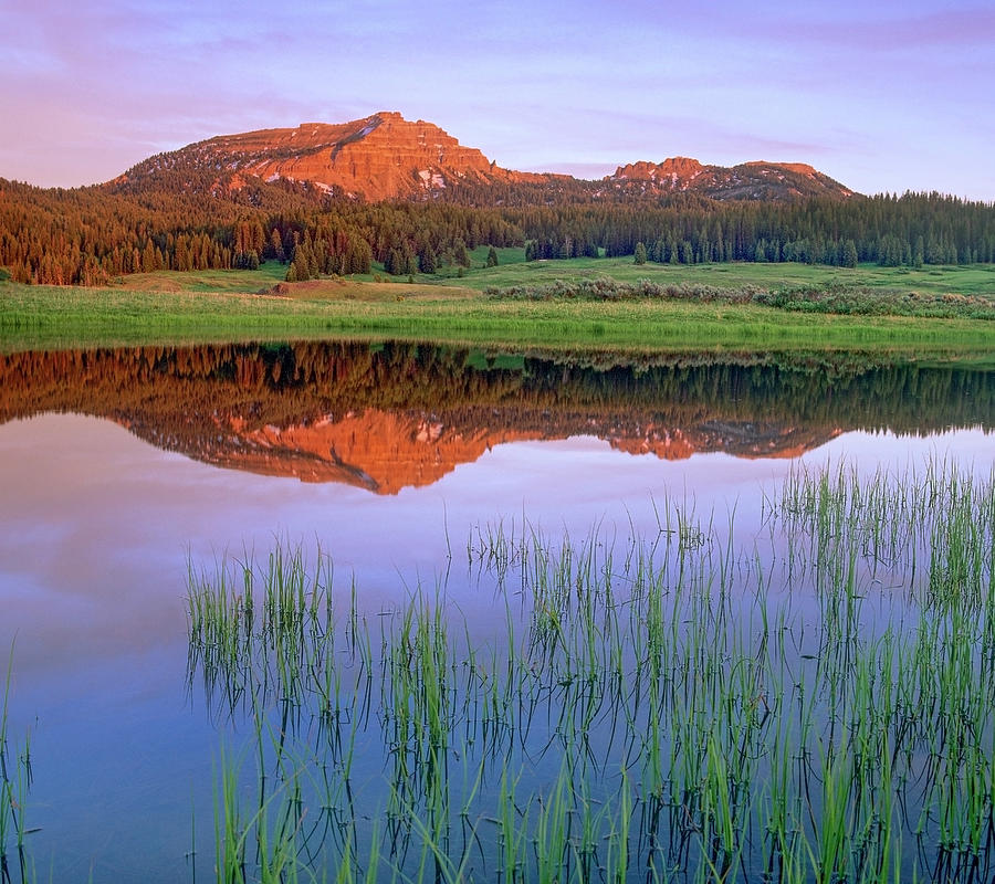Tripod Peak Reflected In Lake, Wyoming Photograph by Tim Fitzharris