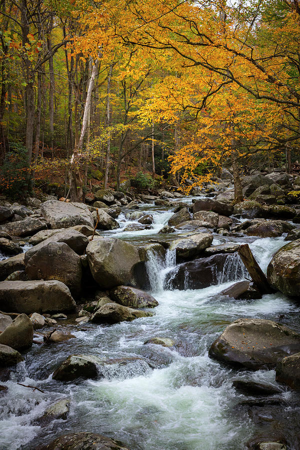 Tripping Downstream in Autumn Photograph by Debra and Dave Vanderlaan