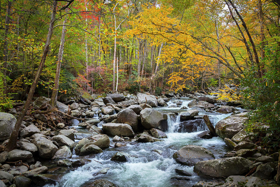 Tripping Waters in Autumn Photograph by Debra and Dave Vanderlaan