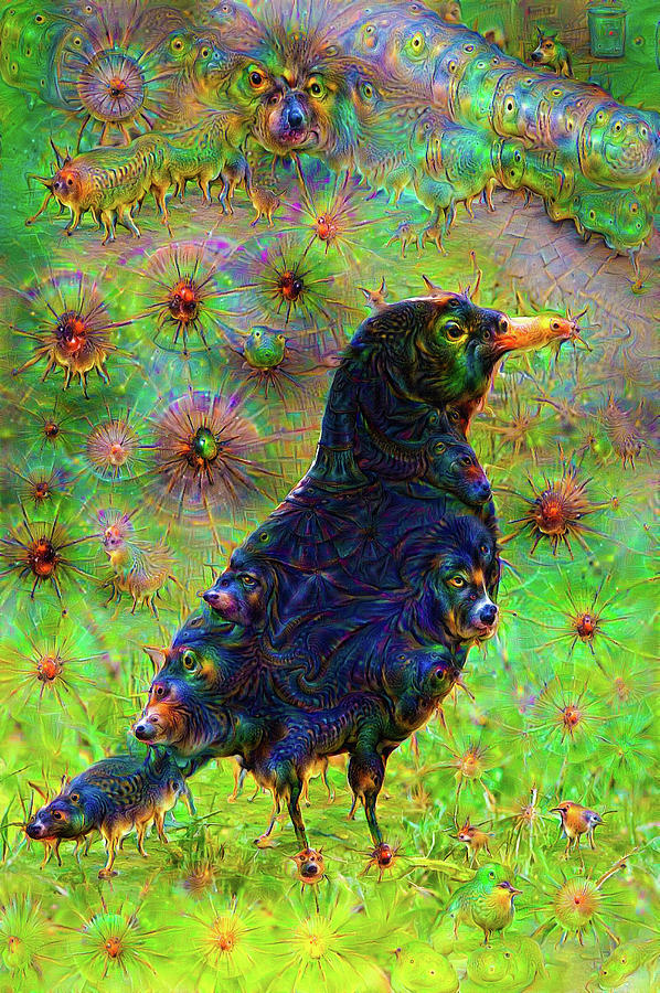 Trippy Raven Google Deep Dream Digital Art