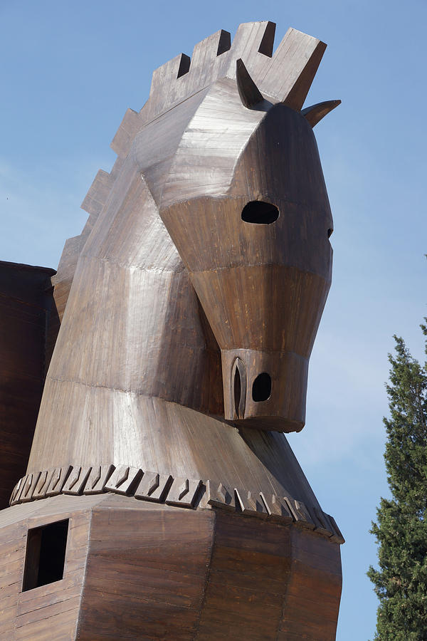 Trojan Horse replica  Photograph by Steve Estvanik