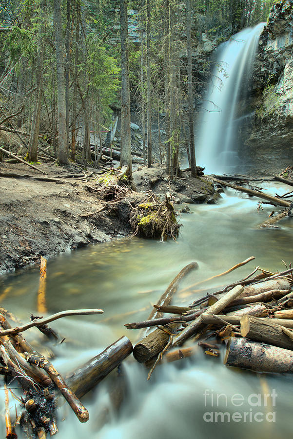 Troll Falls In The Forest Photograph by Adam Jewell