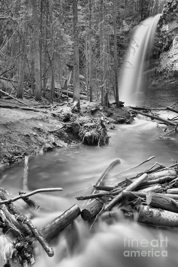 Troll Falls In The Forest Black And White Photograph by Adam Jewell