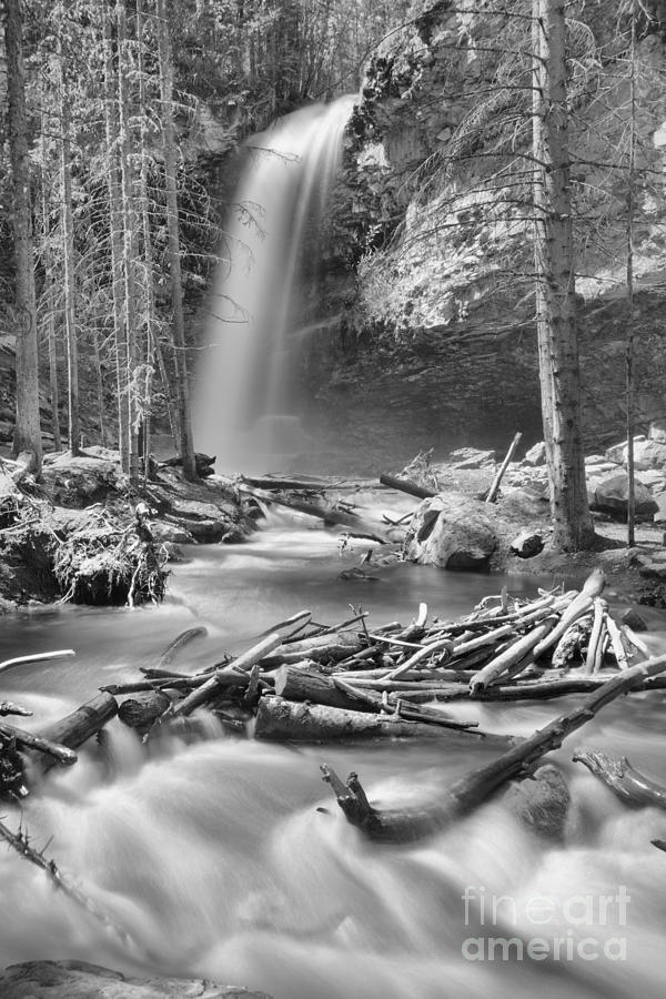 Troll Falls In The Woods Black And White Photograph by Adam Jewell