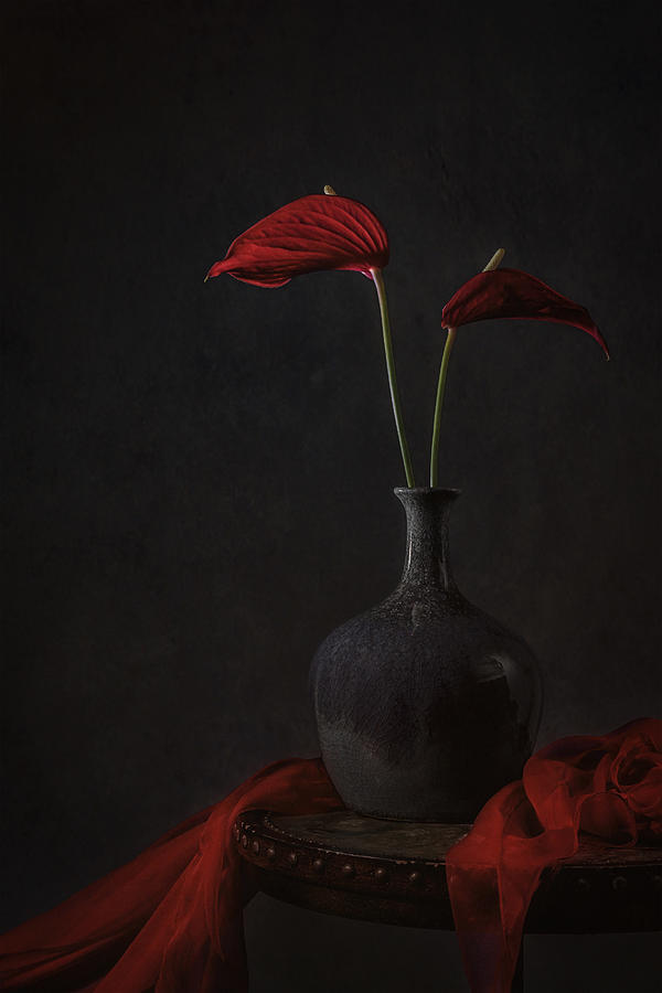 Still Life Photograph - Tropical Anthurium by Lydia Jacobs