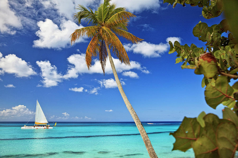 Tropical Beach And Sailboat Digital Art by Antonino Bartuccio - Pixels