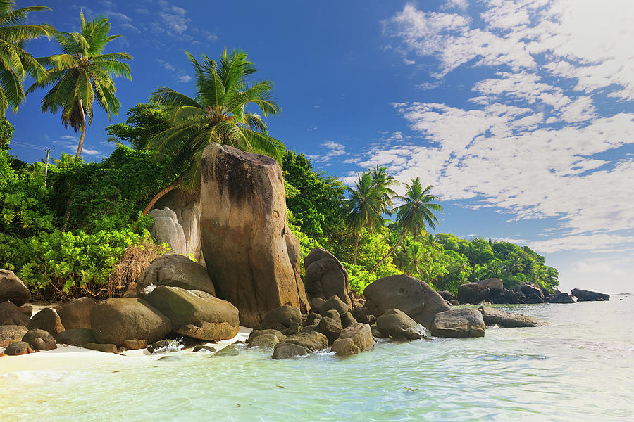 Tropical Beach Anse Royale Photograph by Cornelia Doerr Tropical Beach Anse Royale Photograph by Cornelia Doerr