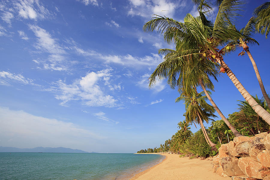 Tropical Beach At Mae Nam Photograph by Tom Bonaventure