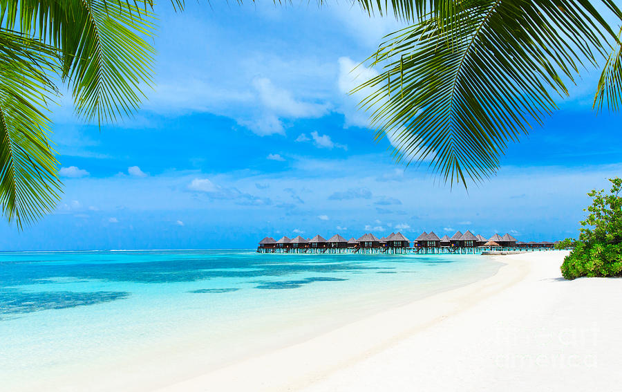 Summer Photograph - Tropical Beach In Maldives With Few by Akugasahagy