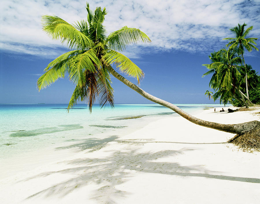 Tropical Beach Photograph by Manfred Gottschalk | Fine Art America