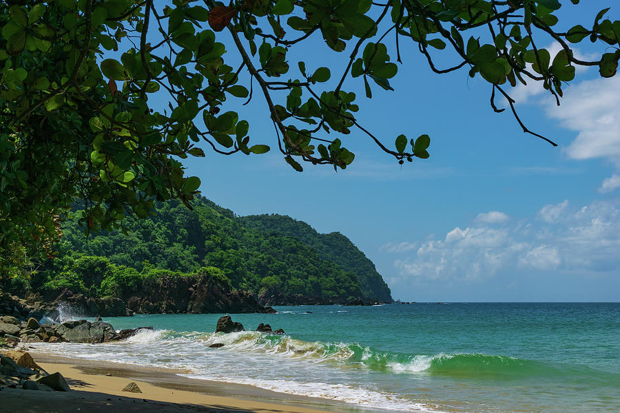 Tropical Beach on Castara Bay Photograph by Liz Albro