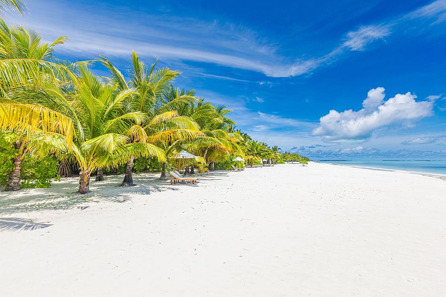 Tropical Beach Resort, White Sand Beach Photograph by Levente Bodo ...