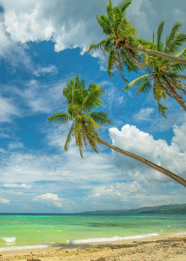 Tropical Beach, Siquijor Island, Philippines Photograph by Tim Fitzharris