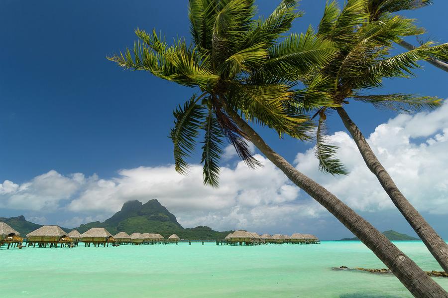 Tropical Beach With Palm Trees Digital Art by Jacana Stock - Fine Art ...