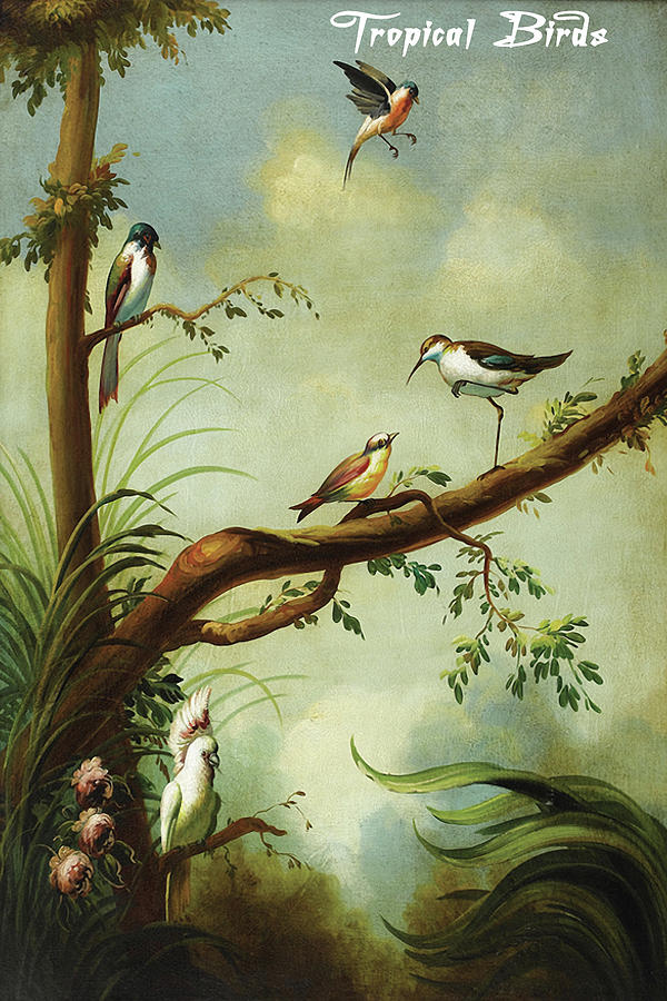 Tropical Birds Painting by Ira Monte - Fine Art America