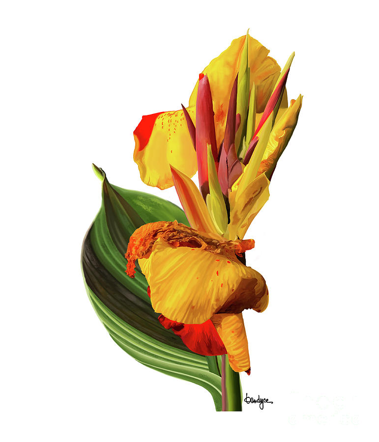 Tropical Bouquet-Flower One Digital Art by Kandyce Waltensperger